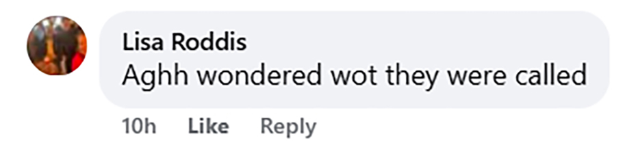 A Dorset beach looked like a scene from Stranger Things after hundreds of rare otter shell clams were washed ashore by storms, leaving locals stunned at the eerie sightA Dorset beach looked like a scene from Stranger Things after hundreds of rare otter shell clams were washed ashore by storms, leaving locals stunned at the eerie sight