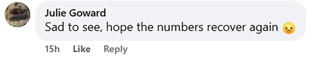 A Dorset beach looked like a scene from Stranger Things after hundreds of rare otter shell clams were washed ashore by storms, leaving locals stunned at the eerie sight