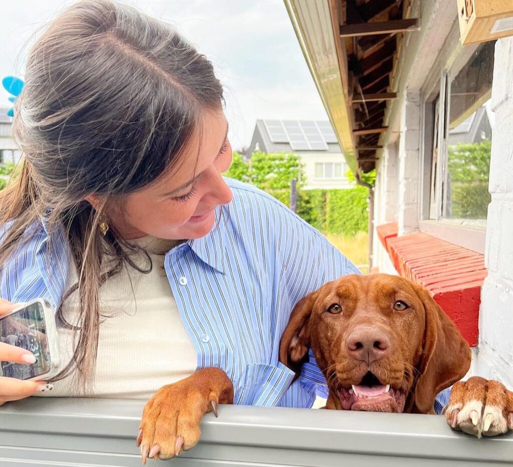 Reymy Amelinckx from Rumst, Belgium swallowed 17cm spoon when her Hungarian Vizsla Marley jumped on her lap while eating yogurt. Spoon removed via gastroscopy.