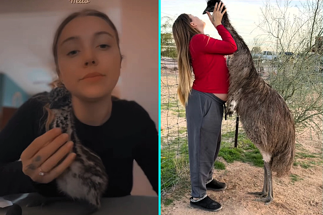 Woman dubbed crazy after spending over £250 on a pet emu named Melvin who now plays football with her dog and cuddles her in bed - adorable video racks up 200,000 views.
