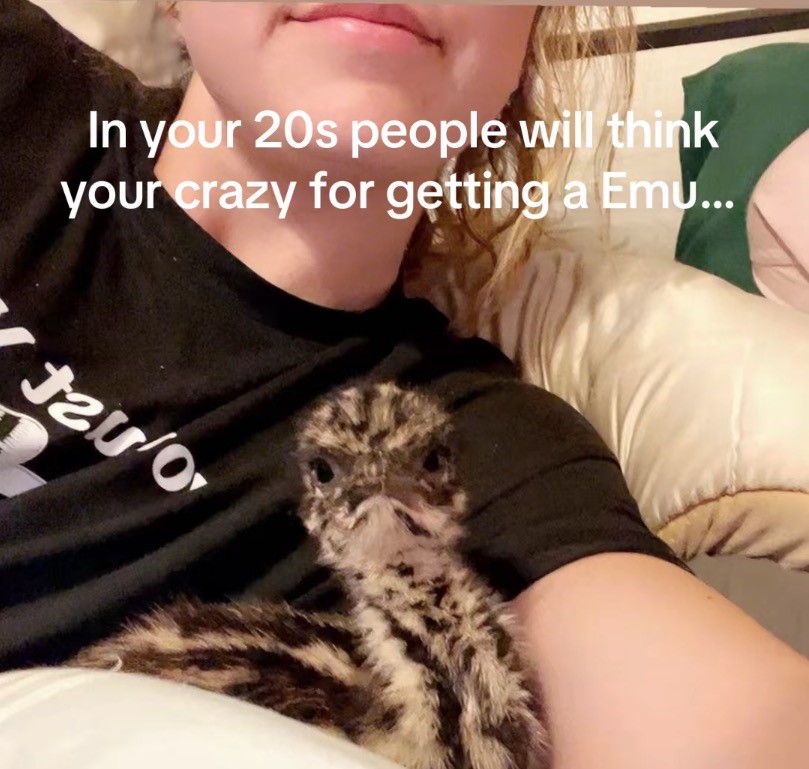 Woman dubbed crazy after spending over £250 on a pet emu named Melvin who now plays football with her dog and cuddles her in bed - adorable video racks up 200,000 views.