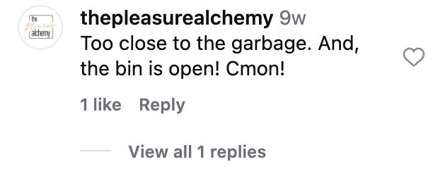 Social media comment on the post of Woman pays over £1m to live next to bin bags full of rubbish in New York City but says she has zero regrets - her stunning West Village apartment has a cosy Parisian vibe.