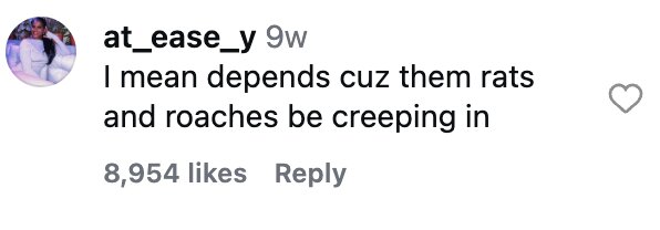 Social media comment on the post of Woman pays over £1m to live next to bin bags full of rubbish in New York City but says she has zero regrets - her stunning West Village apartment has a cosy Parisian vibe.