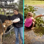 Samantha Polk turned to homesteading after supermarket food poisoned her kids. Mississippi family now hunts and grows all meals on their homestead.