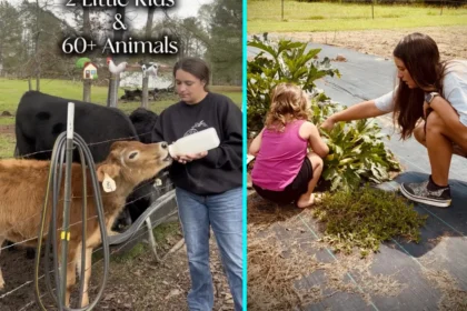Samantha Polk turned to homesteading after supermarket food poisoned her kids. Mississippi family now hunts and grows all meals on their homestead.