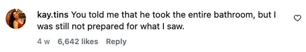 Social media comment on the post of Tenant Maggie Poost, 25, reports small bath leak to landlord. Plumber demolishes entire bathroom without warning and dumps bathtub in garden. Video hits 1.5m views.