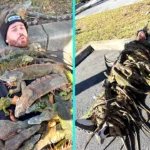 Influencer shocks viewers after covering himself with 100 iguanas to create a bizarre “iguana blanket” in a Florida car park, racking up millions of views online