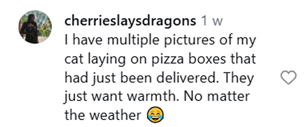 Social media comment on the post of Cat caught snuggling on warm stove top after owners bake pizza in freezing -13C weather. Bear the cat finds the perfect toasty spot to curl up in Kansas City home.