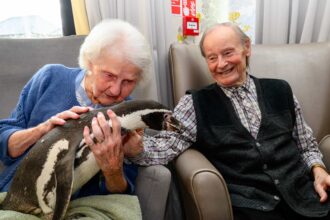 Residents at The Grand Care Home were delighted as penguins Widget and Pringle visited, offering cuddles and unforgettable close up encounters