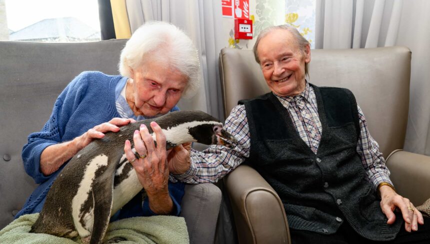 Residents at The Grand Care Home were delighted as penguins Widget and Pringle visited, offering cuddles and unforgettable close up encounters
