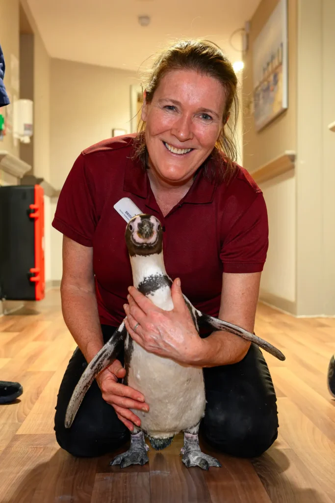 Residents at The Grand Care Home were delighted as penguins Widget and Pringle visited, offering cuddles and unforgettable close up encounters