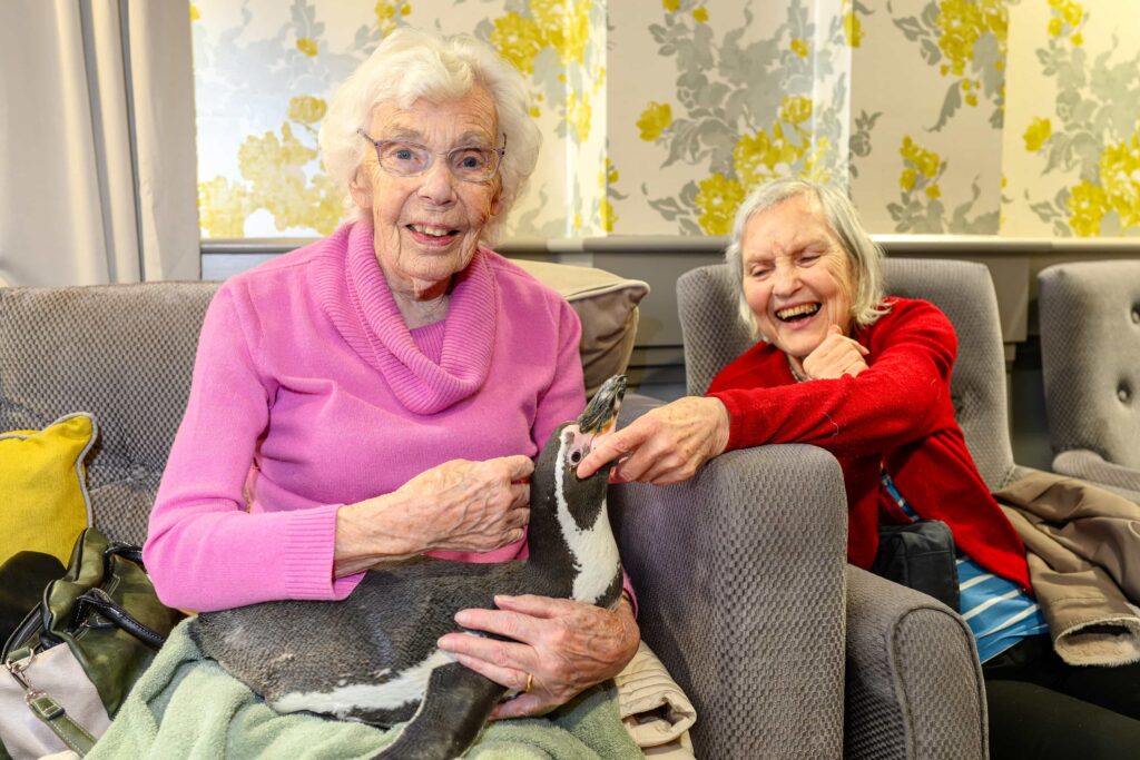 Residents at The Grand Care Home were delighted as penguins Widget and Pringle visited, offering cuddles and unforgettable close up encounters
