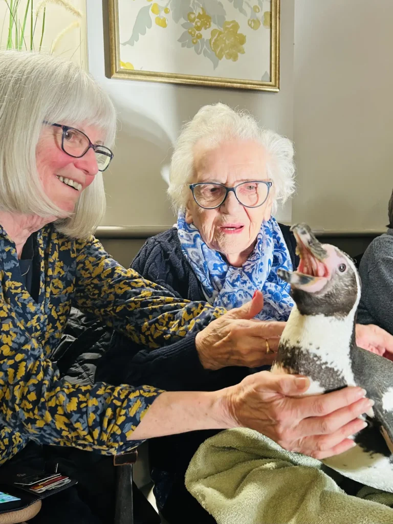 Residents at The Grand Care Home were delighted as penguins Widget and Pringle visited, offering cuddles and unforgettable close up encounters