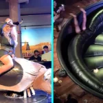 Married At First Sight star Sarah, 46, vanishes behind mechanical bull after tumbling backwards. Viral video of her epic fail gets 85,000 views as she jokes dignity took hit.