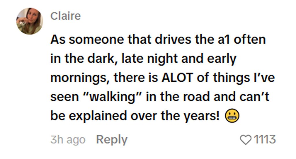 Social media comment on the post of Singer Lauren Amour captures spooky Slenderman-like figure on dashcam while driving A69 at 2am. Tall being with glowing head moved towards her car. Over 240,000 views.