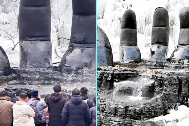 Tourists were amazed as wild macaques leapt into a hot spring pool at a Chinese mountain resort, relaxing together while visitors watched the unexpected spa takeover.