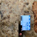 Dog walkers stumbled upon 2,000-year-old Roman-era footprints on a Scottish beach - but archaeologists had just 48 hours to record them before storms destroyed the site forever.