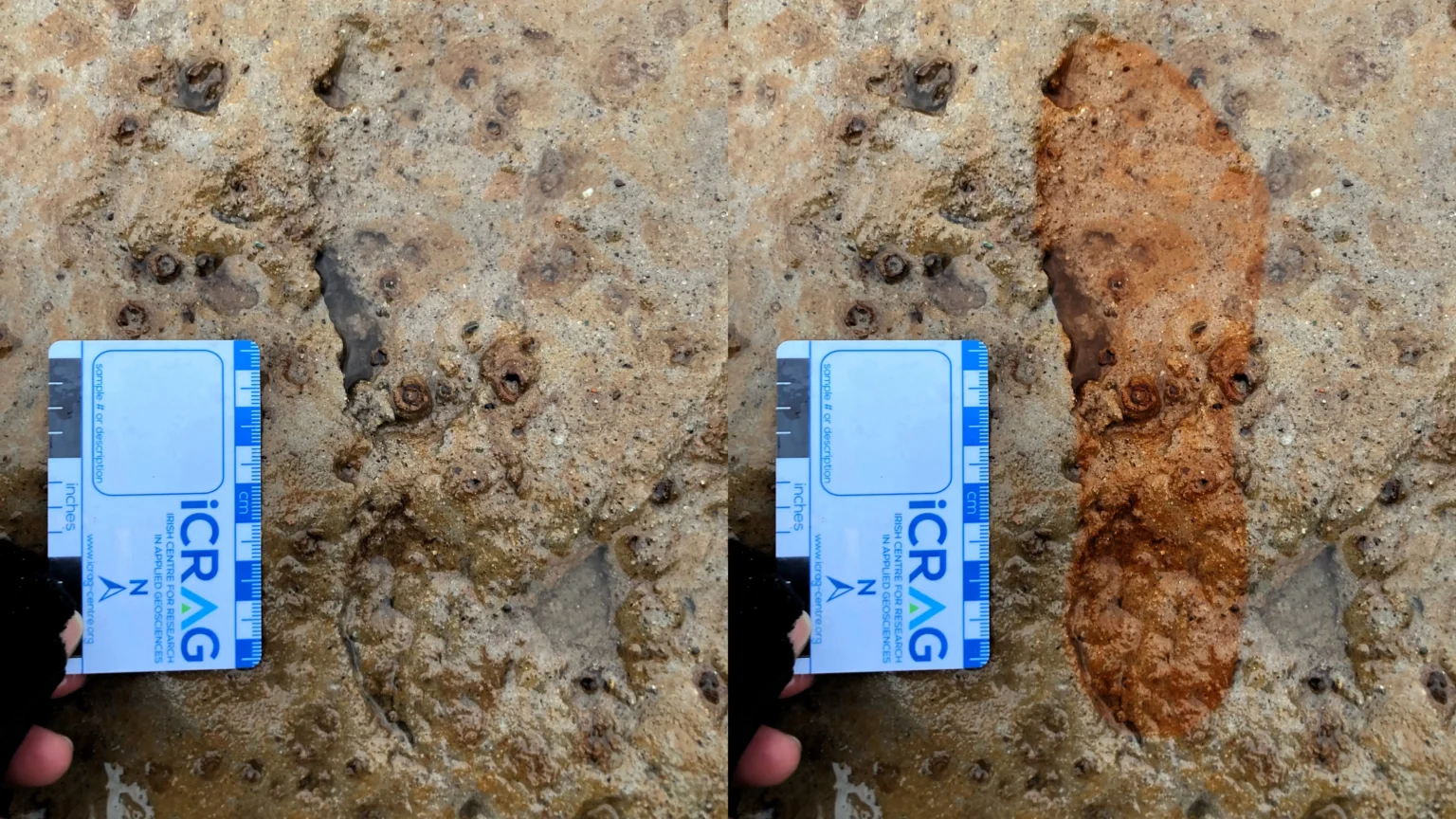 Dog walkers stumbled upon 2,000-year-old Roman-era footprints on a Scottish beach - but archaeologists had just 48 hours to record them before storms destroyed the site forever.