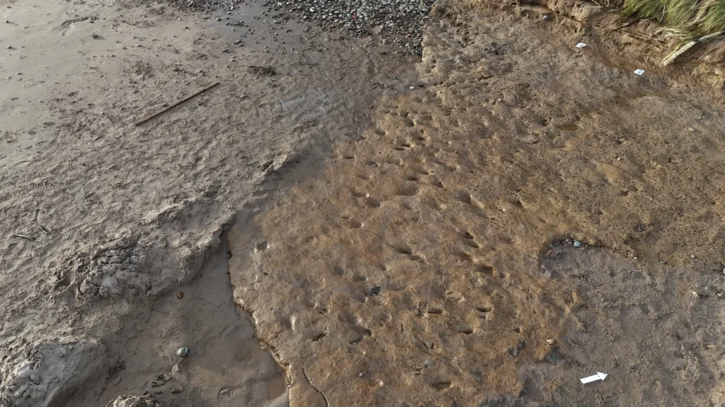 Dog walkers stumbled upon 2,000-year-old Roman-era footprints on a Scottish beach - but archaeologists had just 48 hours to record them before storms destroyed the site forever.
