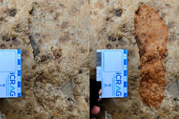 Dog walkers stumbled upon 2,000-year-old Roman-era footprints on a Scottish beach - but archaeologists had just 48 hours to record them before storms destroyed the site forever.