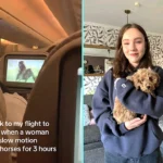 Passenger watches slow-motion horse videos for 3 hours straight on Dubai to Bali flight. Fellow traveller's viral clip of the bizarre entertainment gets 6.2m views.