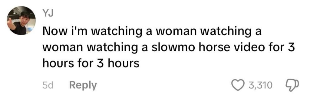 Social media comment on the post of Passenger watches slow-motion horse videos for 3 hours straight on Dubai to Bali flight. Fellow traveller's viral clip of the bizarre entertainment gets 6.2m views.