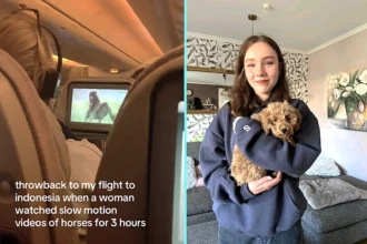 Passenger watches slow-motion horse videos for 3 hours straight on Dubai to Bali flight. Fellow traveller's viral clip of the bizarre entertainment gets 6.2m views.