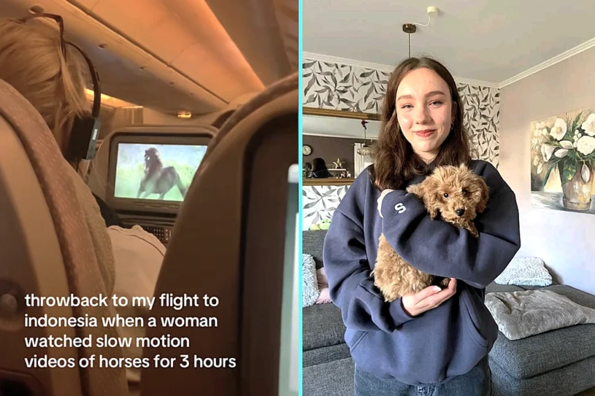 Passenger watches slow-motion horse videos for 3 hours straight on Dubai to Bali flight. Fellow traveller's viral clip of the bizarre entertainment gets 6.2m views.
