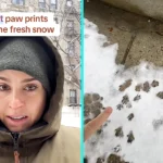 A New York woman was stunned after spotting a snowy rat highway outside her home, sharing viral footage of thousands of tiny paw prints across the city streets
