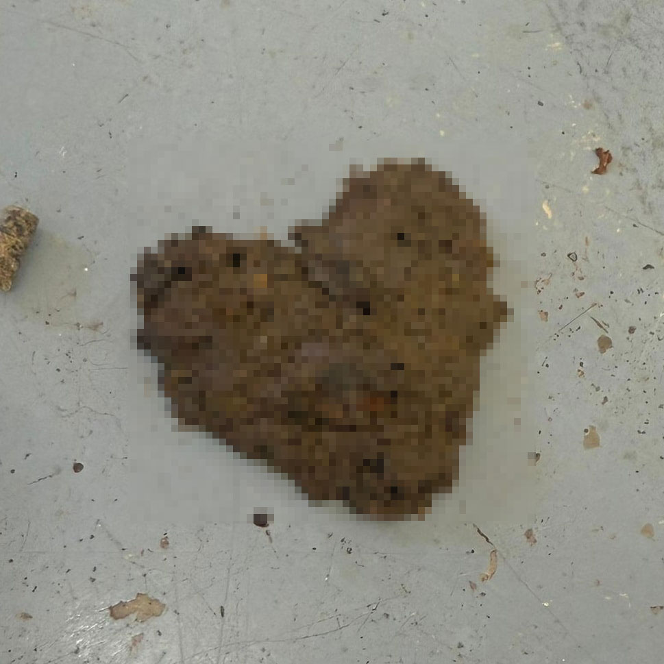 Zoo sells personalized Valentine's poo photos for £10 where scorned lovers can pick which animal's dung represents their ex. Meerkat or lemur manure. Conservation fundraiser.