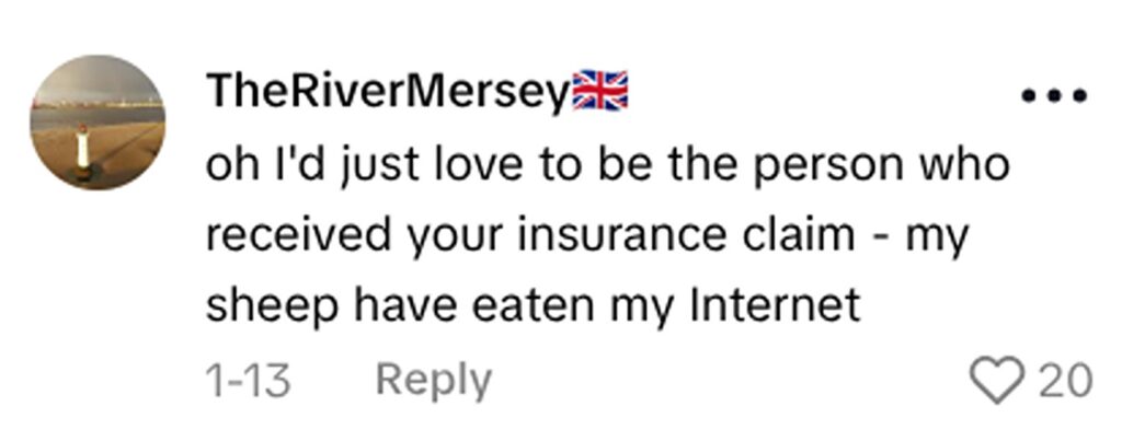 Social media comment on the post of Mum Laura Niblett's sheep Mirabelle ate internet cable stopping kids doing homework. Mobile farm animals cause constant chaos in Gloucestershire. 72,000 views.