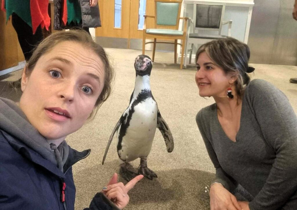 Mum Laura Niblett's sheep Mirabelle ate internet cable stopping kids doing homework. Mobile farm animals cause constant chaos in Gloucestershire. 72,000 views.