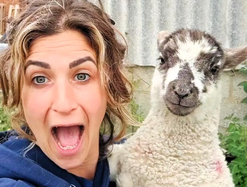 Mum Laura Niblett's sheep Mirabelle ate internet cable stopping kids doing homework. Mobile farm animals cause constant chaos in Gloucestershire. 72,000 views.