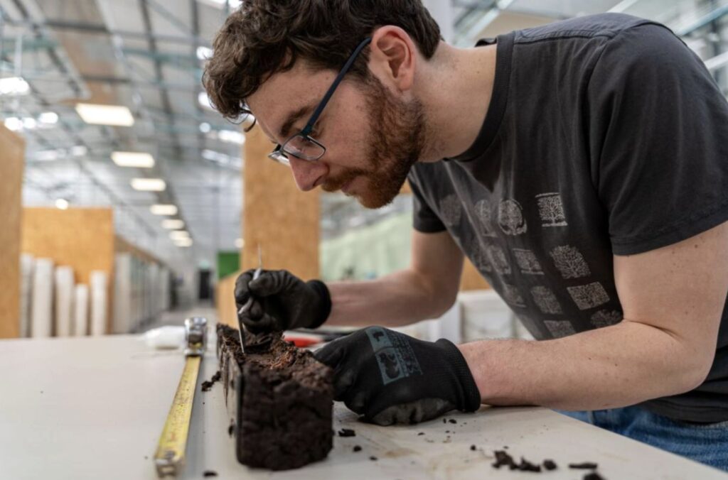 A 6,000-year-old wooden trackway is uncovered beneath peat in Somerset, offering rare insight into Neolithic life, ancient landscapes and early human engineering skills