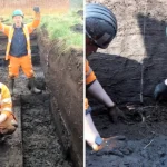 A 6,000-year-old wooden trackway is uncovered beneath peat in Somerset, offering rare insight into Neolithic life, ancient landscapes and early human engineering skills