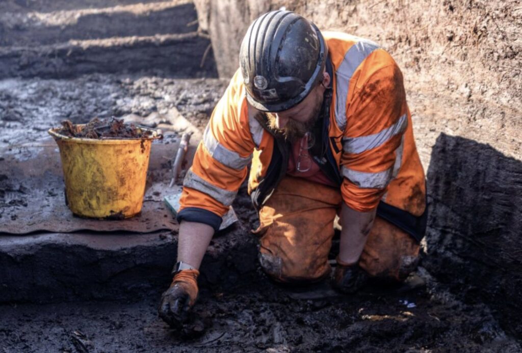 A 6,000-year-old wooden trackway is uncovered beneath peat in Somerset, offering rare insight into Neolithic life, ancient landscapes and early human engineering skills