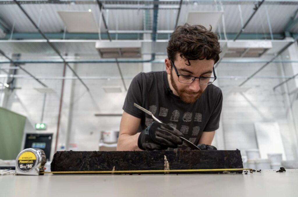 A 6,000-year-old wooden trackway is uncovered beneath peat in Somerset, offering rare insight into Neolithic life, ancient landscapes and early human engineering skills