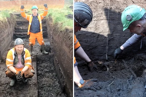 A 6,000-year-old wooden trackway is uncovered beneath peat in Somerset, offering rare insight into Neolithic life, ancient landscapes and early human engineering skills