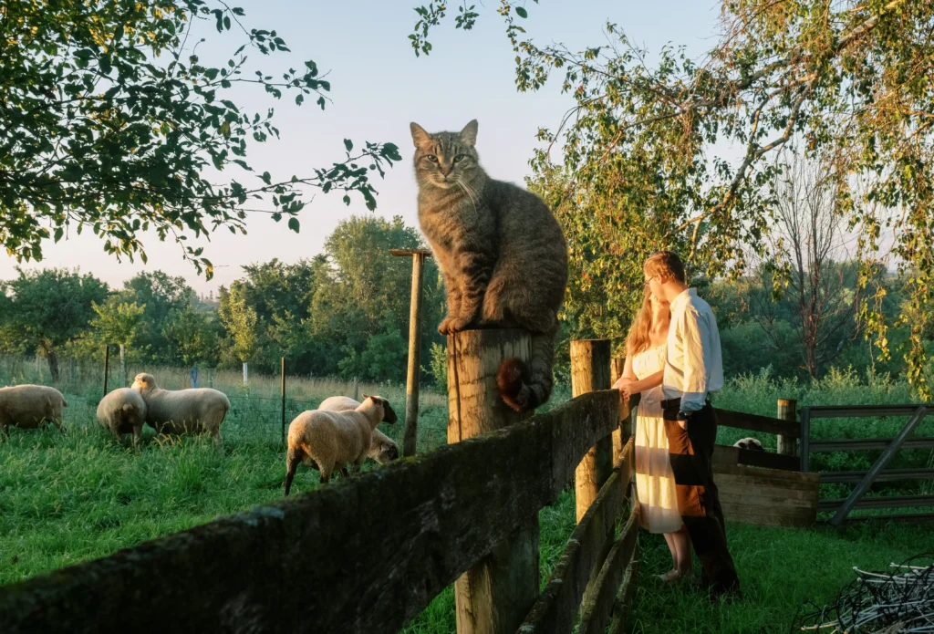 Junebug Weddings reveals 2026’s best engagement photos, with couples embracing cinematic backdrops from misty mountains to Lake Como for unforgettable romantic scenes