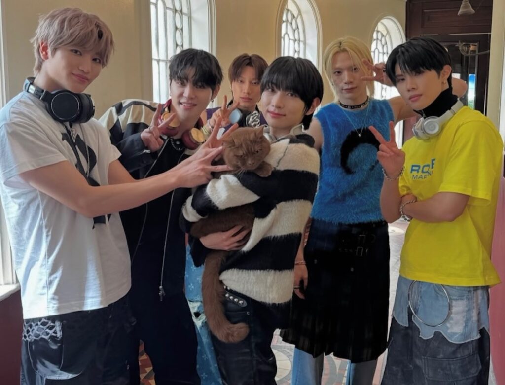 British Shorthair cat Obi with striking orange eyes has gone from needing life-saving surgery to starring in TV adverts and a K-pop music video thanks to his Instagram fame.