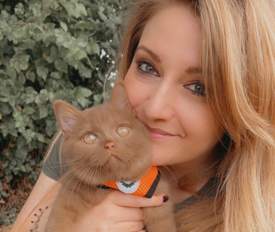 British Shorthair cat Obi with striking orange eyes has gone from needing life-saving surgery to starring in TV adverts and a K-pop music video thanks to his Instagram fame.