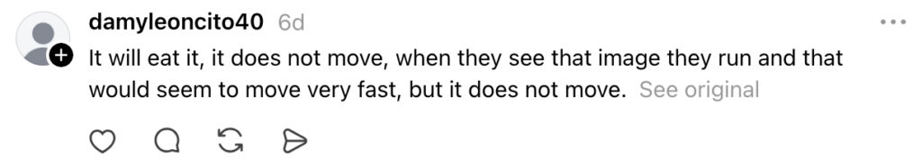 Social media comment on the post of Stunned locals film multi-coloured UFO resembling a jellyfish streaking through the night sky in Colombia - with its tentacle-like appendages rippling as it changed shape.