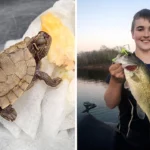 Family discovers a live baby turtle inside a bass caught on the Arkansas River. The stunned family named it "Jonah" after the biblical tale. Watch the incredible footage here.