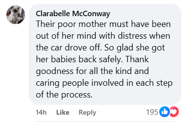 Social media comment on the post of Five tiny fox cubs fell six feet from a car engine during a service in Bromley - but were reunited with their mum in a heartwarming nighttime rescue operation on the driveway.