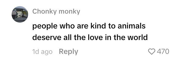 Social media comment on the post of Friendly fox stuns group of lads by joining them for a late-night kebab in Portsmouth - with one of the boys even buying the bold animal a plain doner of its own.