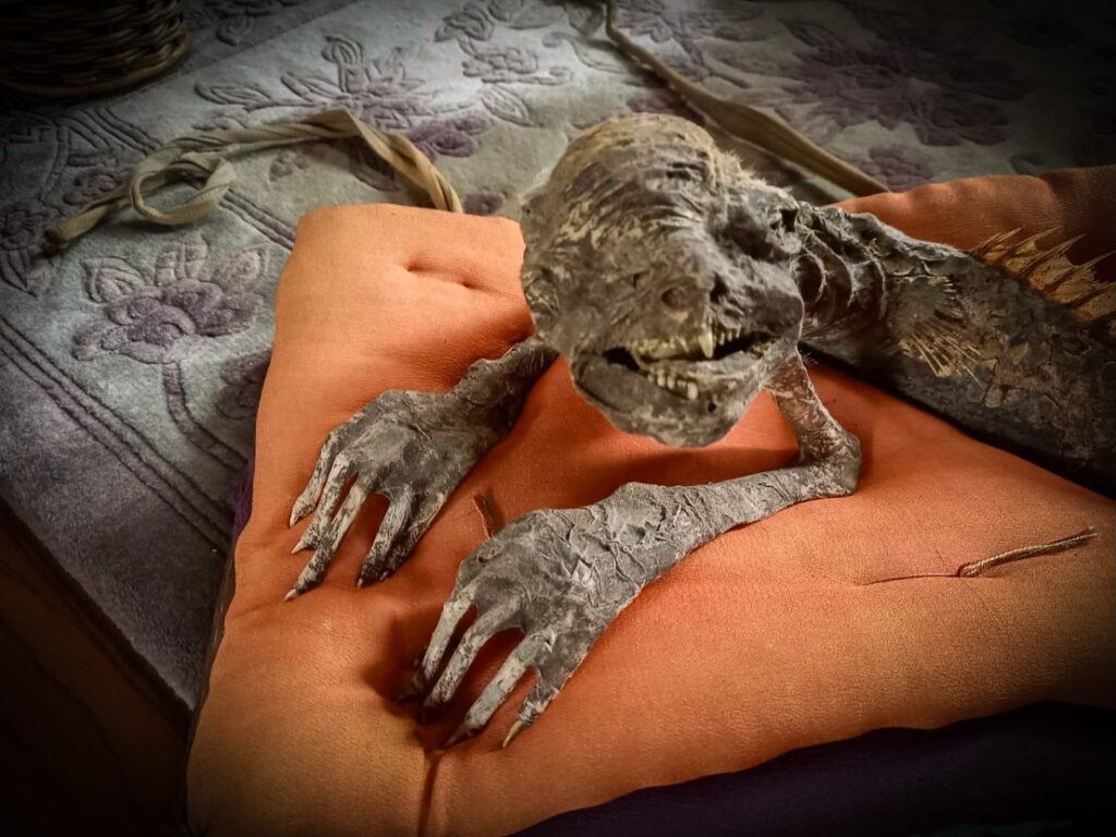 Horrifying mermaid mummy with razor-sharp teeth and a tail fin found in an old Japanese house - and the rare mythical creature is now up for sale at an antiques market.