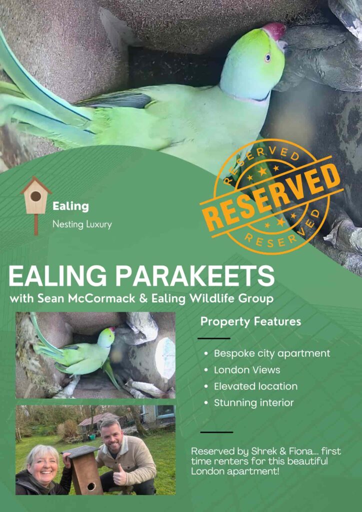 A wildlife lover creates a tiny furnished bird box flat complete with décor and cameras, attracting curious birds as viewers praise the charming and creative design.