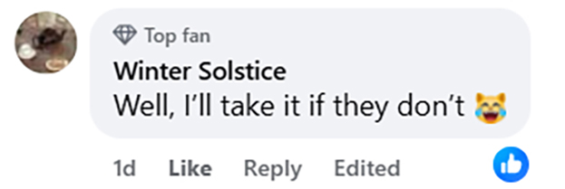 A wildlife lover creates a tiny furnished bird box flat complete with décor and cameras, attracting curious birds as viewers praise the charming and creative design.