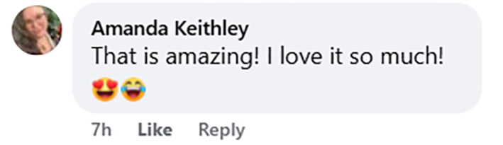 A wildlife lover creates a tiny furnished bird box flat complete with décor and cameras, attracting curious birds as viewers praise the charming and creative design.