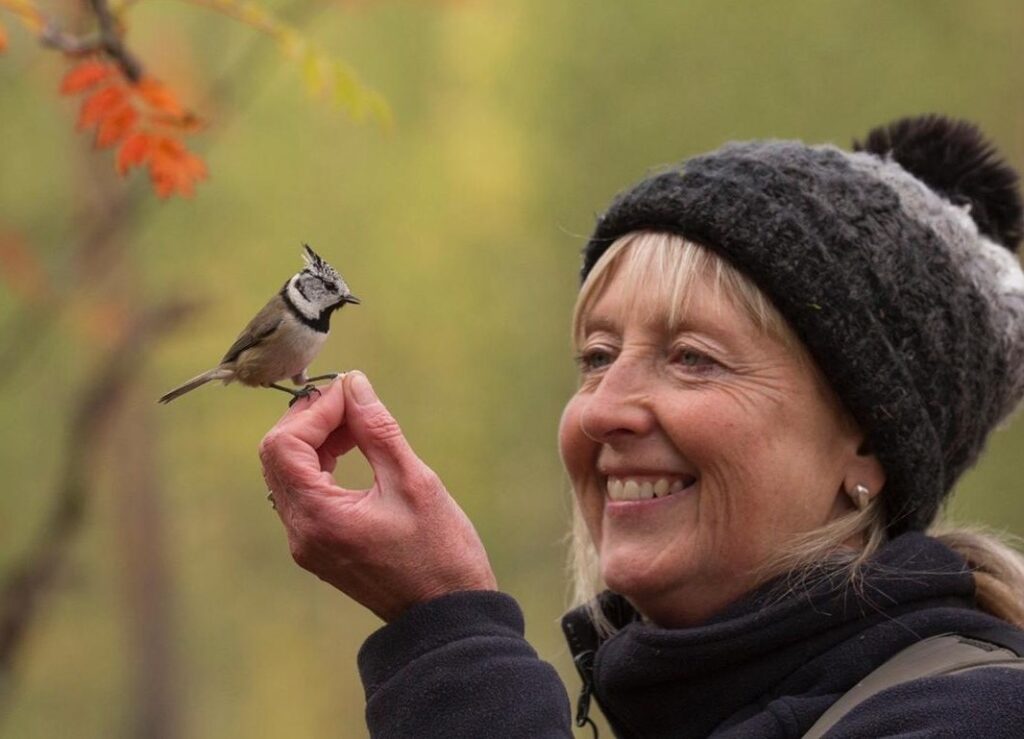 A wildlife lover creates a tiny furnished bird box flat complete with décor and cameras, attracting curious birds as viewers praise the charming and creative design.